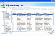 Recover SQL Data screenshot